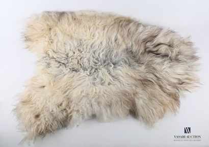 Peau de mouton islandais (Ovis aries, non...