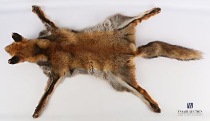 Peau de renard (Vulpes vulpes, non réglementé)...
