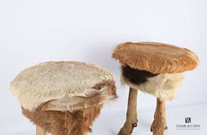 Paire de tabourets, l'assise en peau de cerf...