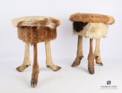 Paire de tabourets, l'assise en peau de cerf...