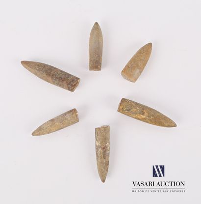 Ensemble de six rostres de belemnites fossilisées.

Long....