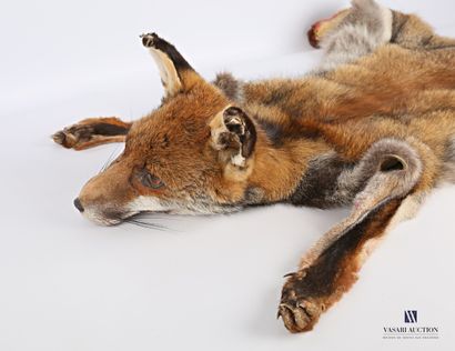 Peau de renard (Vulpes vulpes, non réglementé)...