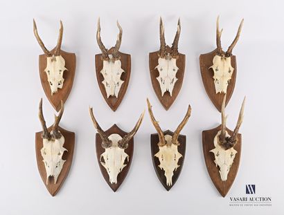 Ensemble de huit massacres de chevreuil (Capreolus...