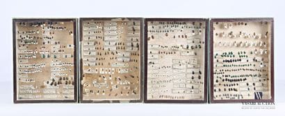 Ensemble de quatre boites entomologique contenant...