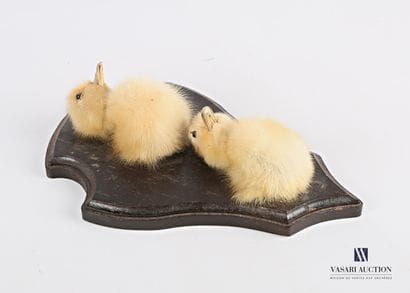 Ecusson en bois mouluré présentant deux demi...