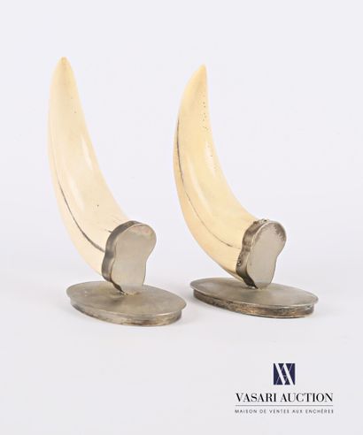 Paire de grès de phacochère (Phacochoerus...