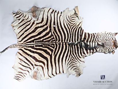 Peau de zèbre (Equus quagga, non réglementé),...