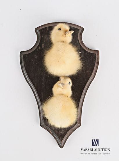 Ecusson en bois mouluré présentant deux demi...