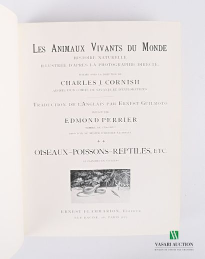 Lot of nine books including: 

DUMAS Alexandre,...