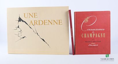 Lot including three volumes: 

- HOLLANDE...
