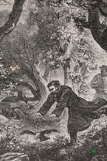 VERNE Jules - Mathuias Sandorf - Paris Bibliothèque...