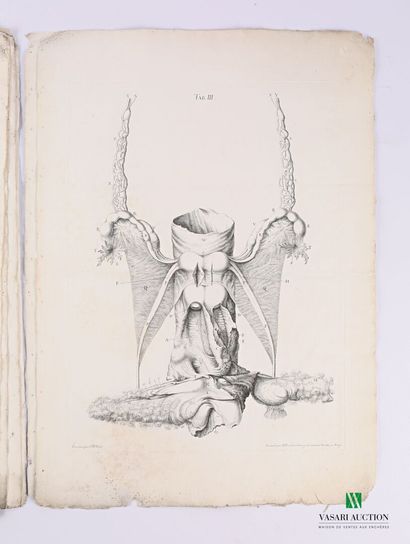 GEORG HEINRICH

Tabulae Anatomicae Quator...