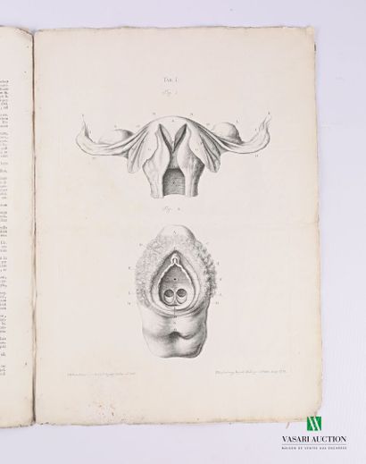 GEORG HEINRICH

Tabulae Anatomicae Quator...