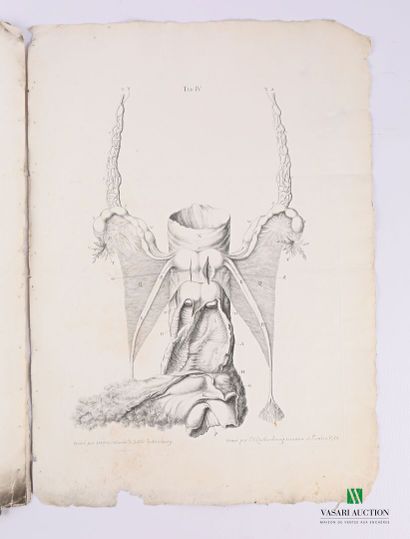 GEORG HEINRICH

Tabulae Anatomicae Quator...