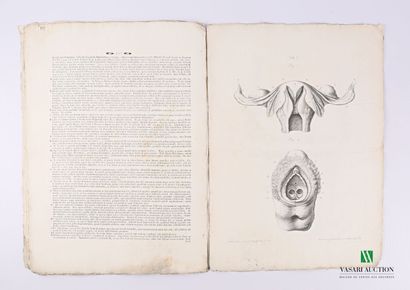 GEORG HEINRICH

Tabulae Anatomicae Quator...