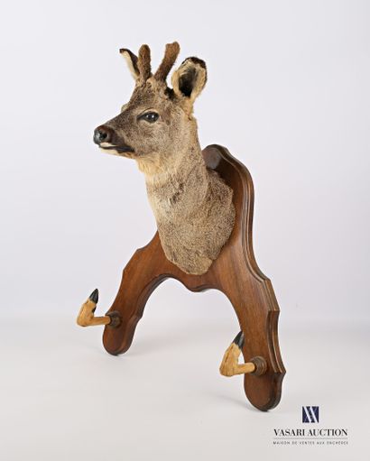 Rifle case with a trophy and two legs of...