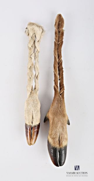 Deux pieds d'honneur tressés dont un de biche...
