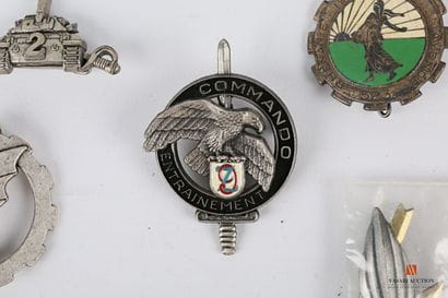 Set of various unit insignia: 1st R.C., 27th...