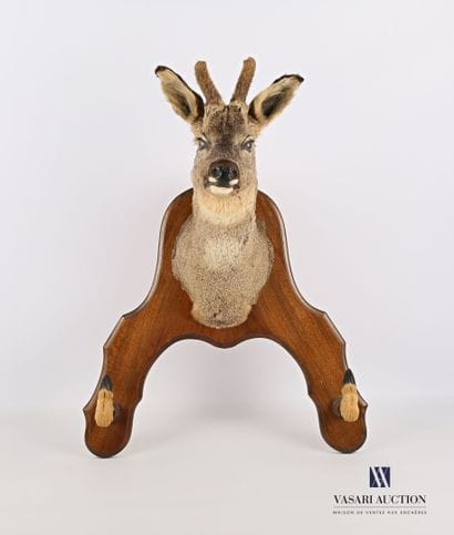 Rifle case with a trophy and two legs of...
