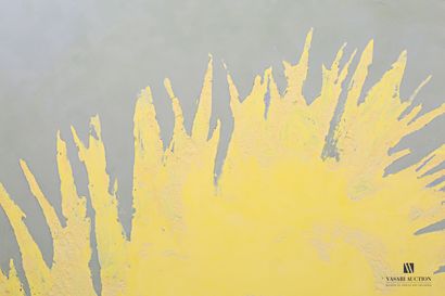 PASSANITI Francesco (born in 1952)

Yellow...