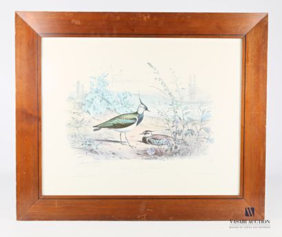 TRAVIÉS Edouard (1809-1876), d'après

Le...