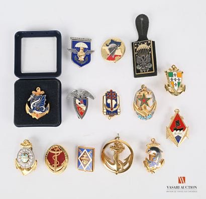 Ensemble d'insignes d'unité des Troupes de...