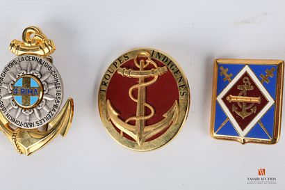 Ensemble d'insignes d'unité des Troupes de...