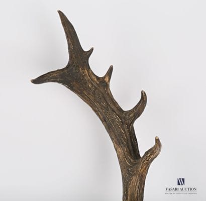 Massacre de cerf de Virginie (Odocoileus...