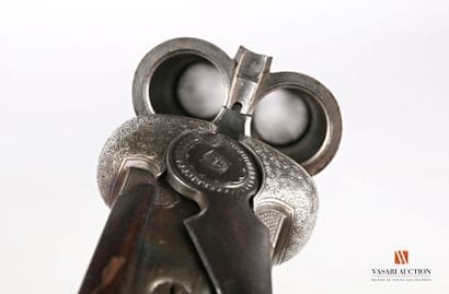 Fusil de chasse Hammerless stéphanois, canons...