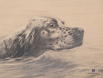 DANCHIN Léon (1887-1938), d'après

Epagneul...