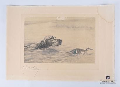 DANCHIN Léon (1887-1938), d'après

Epagneul...