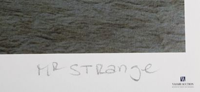 MR. STRANGE (20th century)

The cottage

Lithograph...