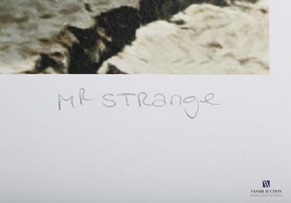 MR. STRANGE (20th century)

Nuclear burn

Lithograph...