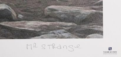 MR. STRANGE (20th century)

Pee break

Lithograph...