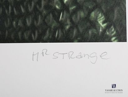 MR. STRANGE (20th century)

Passage of the...