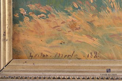 MERLE Hector (XIX-XXth century)

Fields of...