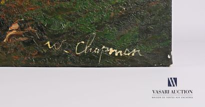 CHAPMAN W. (20th century)

River in a mountainous...