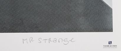 MR. STRANGE (20th century)

The paper plane

Lithograph...