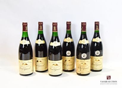 6 bottles BOURGUEIL mise Domaine des Chesnaies...