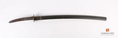 Indochinese sword, slightly curved blade...