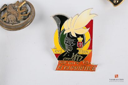 Set of various and foreign unit badges: H.A....
