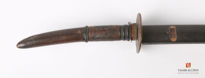 Indochinese sword, slightly curved blade...