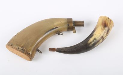 Two powder flasks in horn.

(wear, missi...