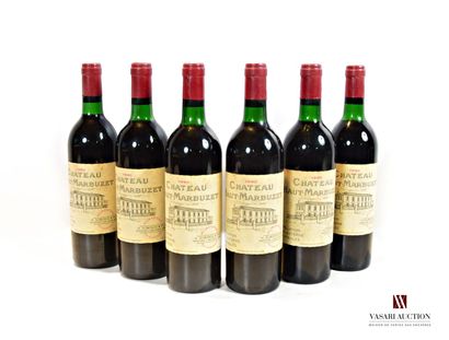 6 bottles Château HAUT MARBUZET St Estèphe...