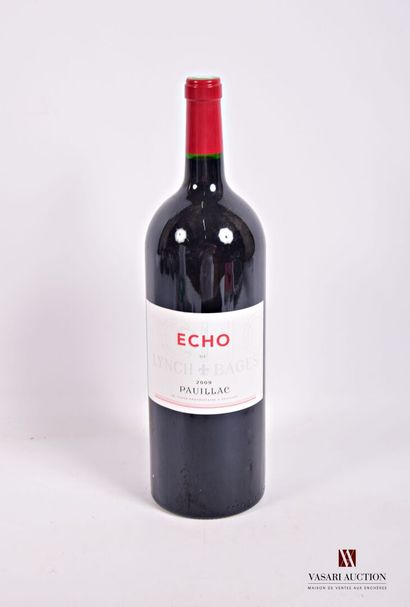1 Magnum	ECHO de LYNCH BAGES	Pauillac	2009

	Présentation...