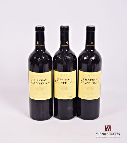 3 Bouteilles	Château CANTELYS	Pessac Léognan	2005

	Et.:...
