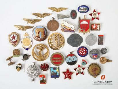 Insigne de béret des Troupes de marine, insigne...