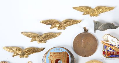 Insigne de béret des Troupes de marine, insigne...