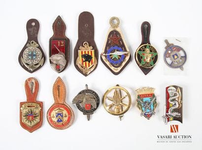 Insigne militaires : 150e CTG Martinique24e...