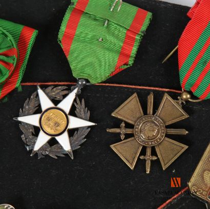 Ordre des palmes académiques, bijou d'officier...